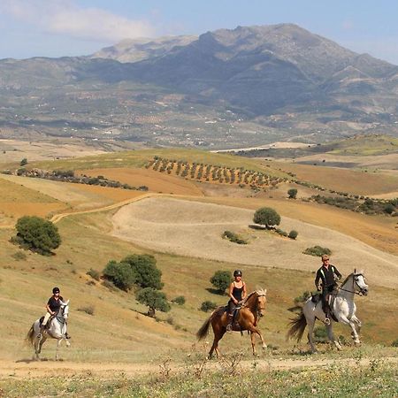 Molino De Saladilla Hotel Coín Екстериор снимка