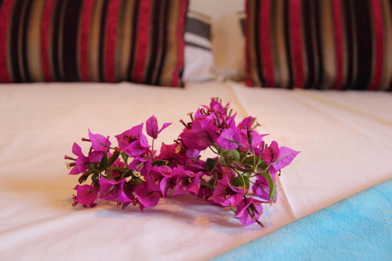 Molino De Saladilla Hotel Coín Екстериор снимка